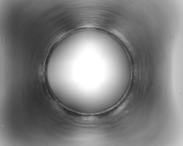 X0000088751129200706212110