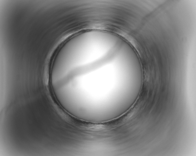 X0000088751131200706212110