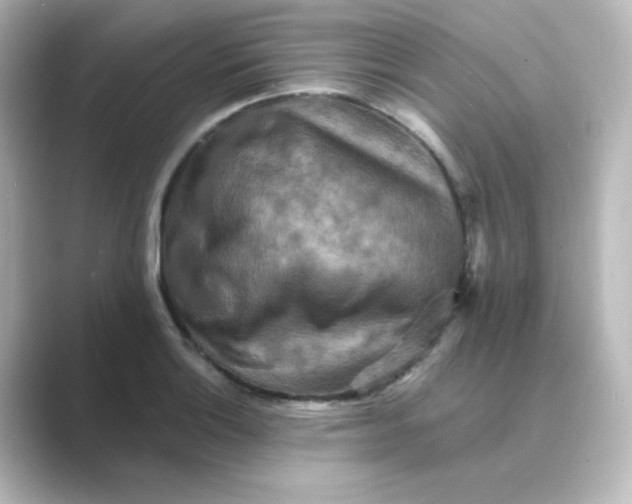 X0000088751132200706212110