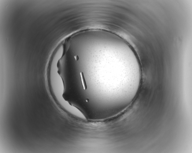 X0000088751133200706212110