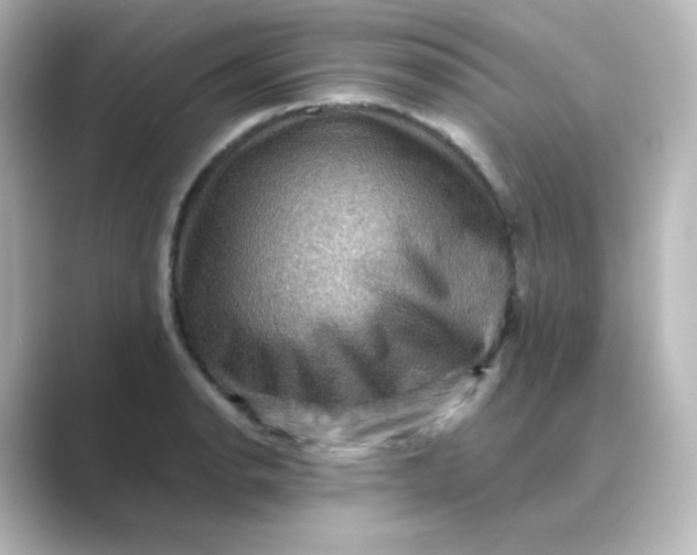 X0000088751134200706212110