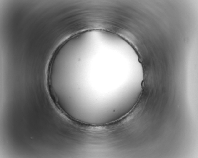 X0000088751135200706212110