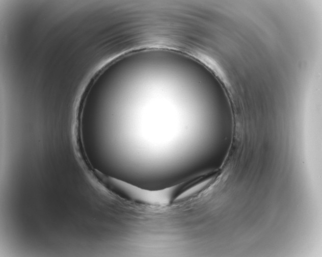 X0000088751136200706212110