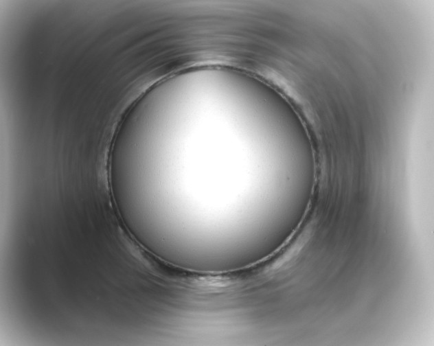 X0000088751137200706212110