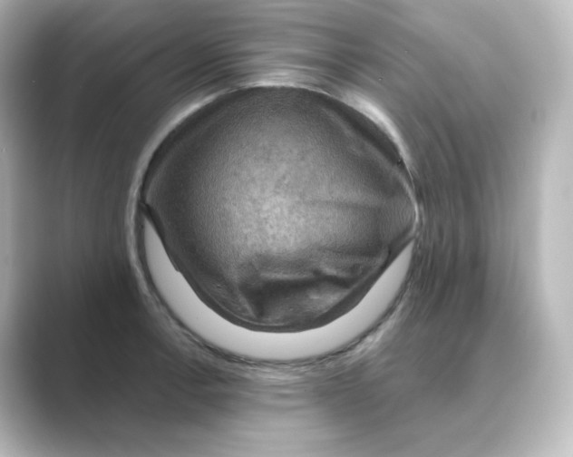 X0000088751138200706212110