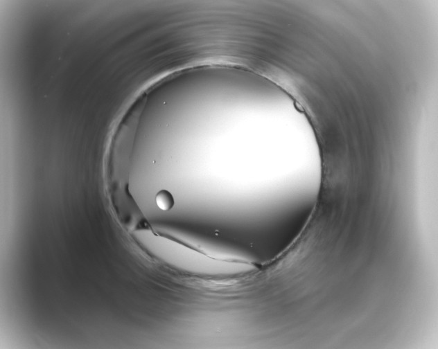 X0000088751140200706212110