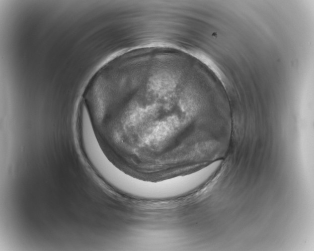 X0000088751142200706212110