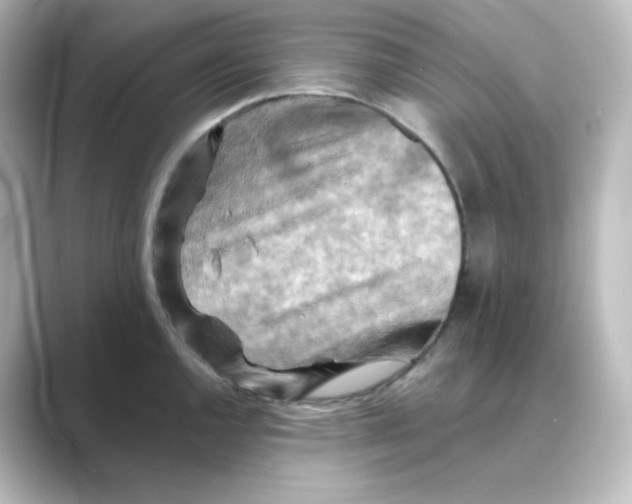 X0000088751144200706212110