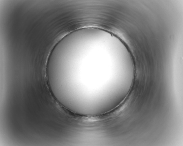 X0000088751145200706212110