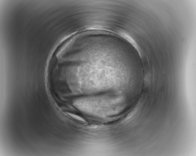 X0000088751146200706212110