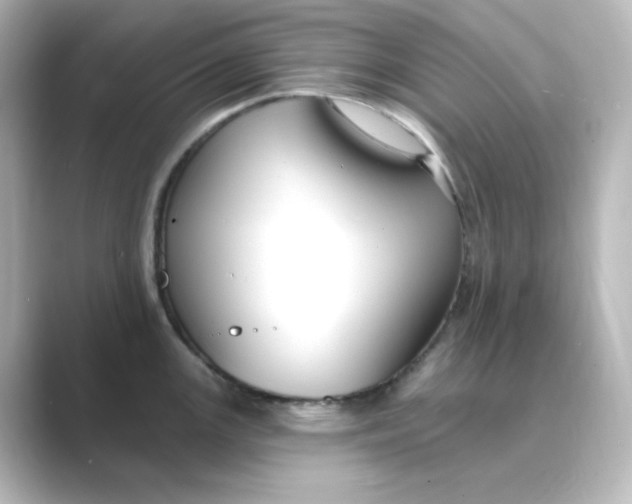 X0000088751147200706212110