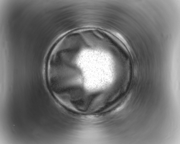 X0000088751149200706212110