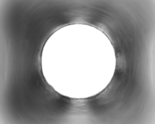 X0000088751150200706212110