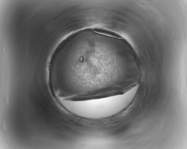 X0000088751151200706212110