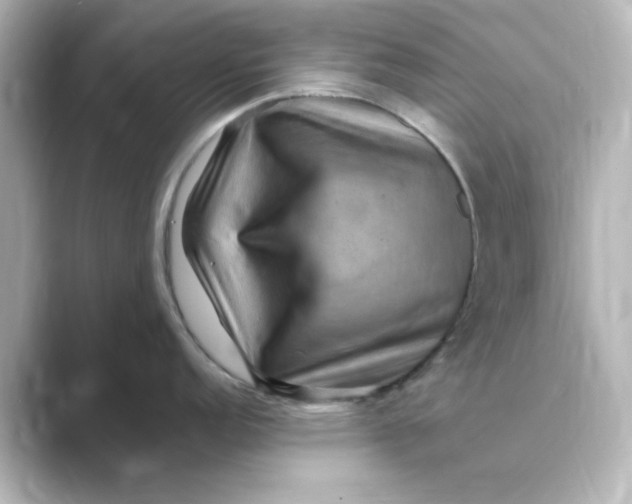 X0000088751152200706212110