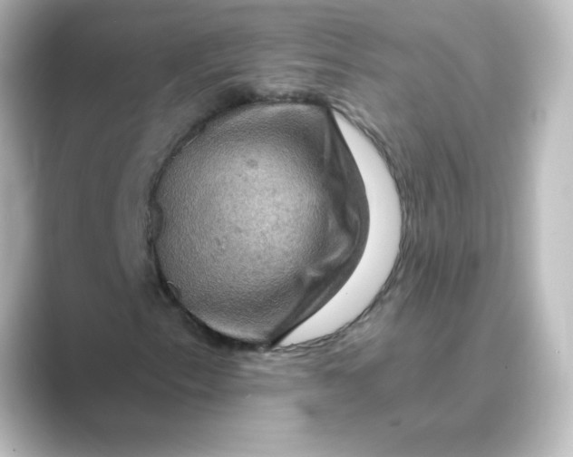 X0000088751153200706212109