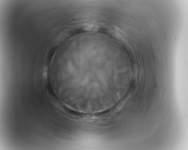 X0000088751154200706212109