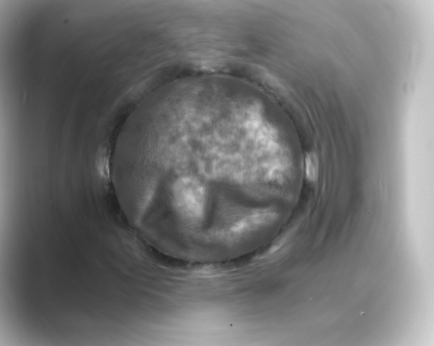 X0000088751155200706212109