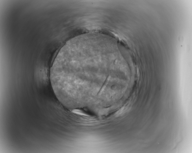 X0000088751156200706212109