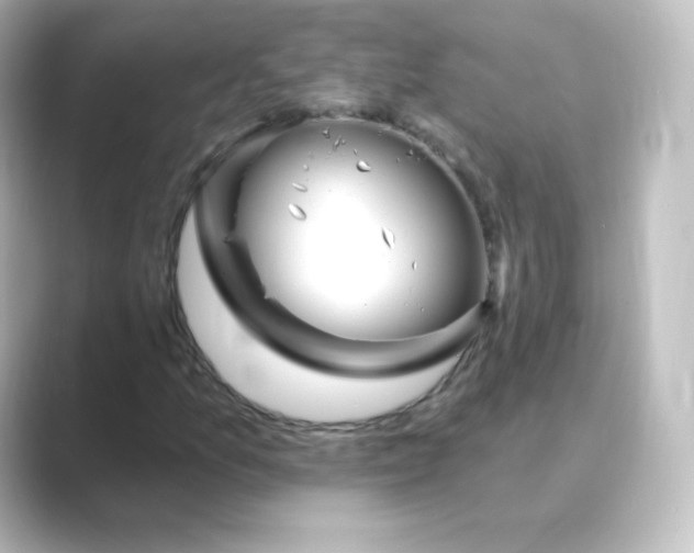 X0000088751157200706212109