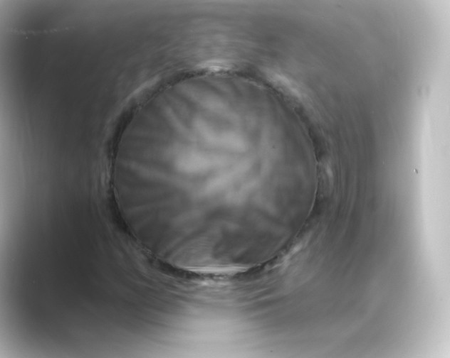 X0000088751158200706212109