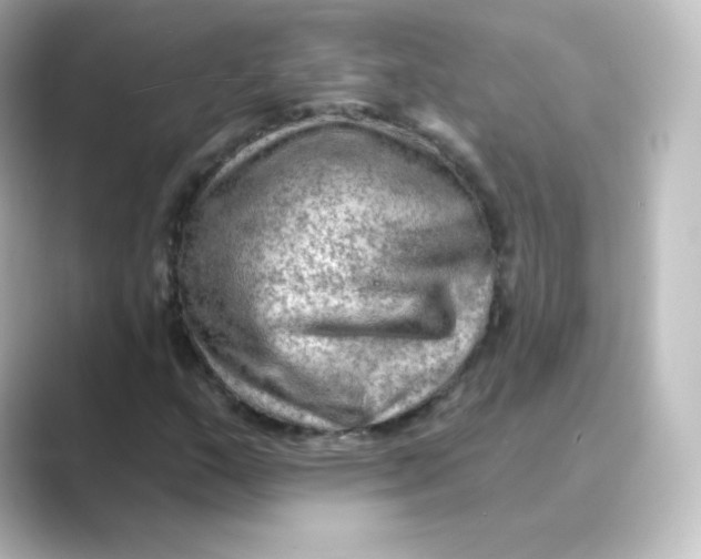 X0000088751159200706212109