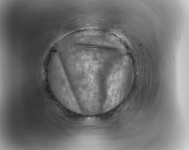 X0000088751160200706212109