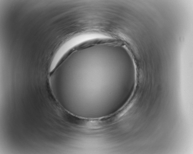 X0000088751161200706212109