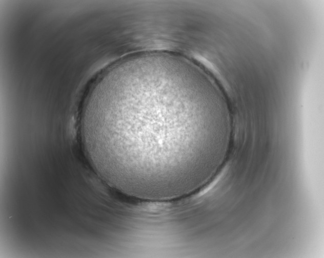 X0000088751163200706212109