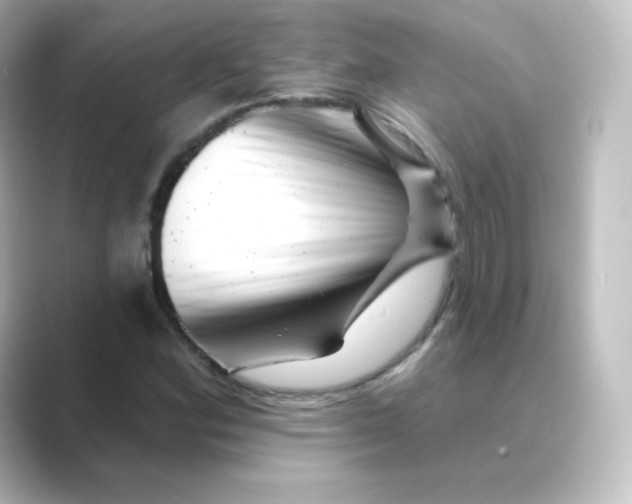 X0000088751164200706212109