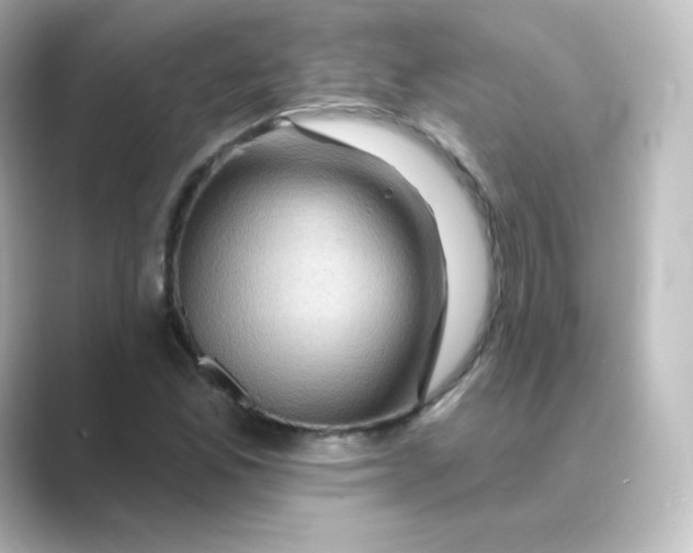 X0000088751165200706212109