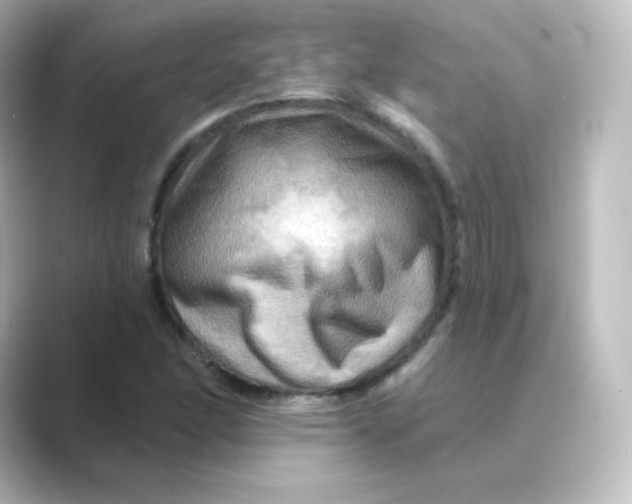 X0000088751166200706212109