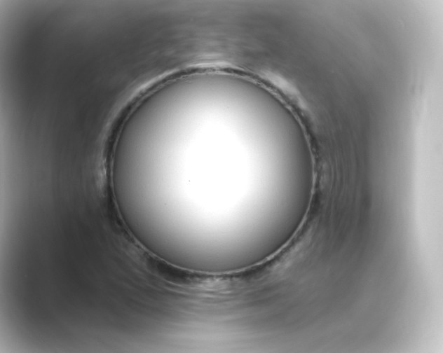 X0000088751167200706212109