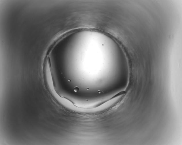 X0000088751168200706212109