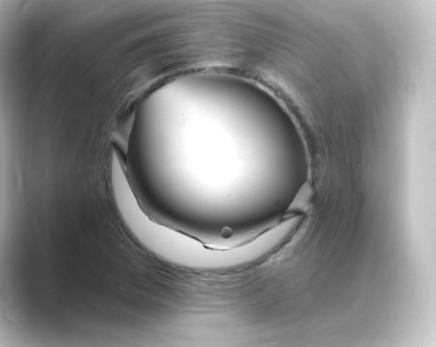 X0000088751169200706212109