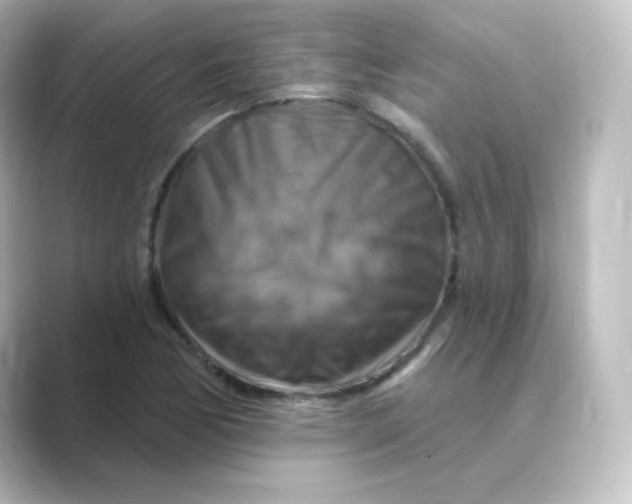 X0000088751170200706212109