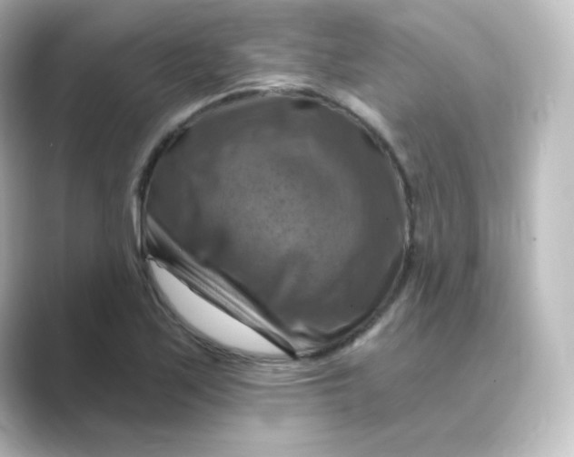 X0000088751171200706212109