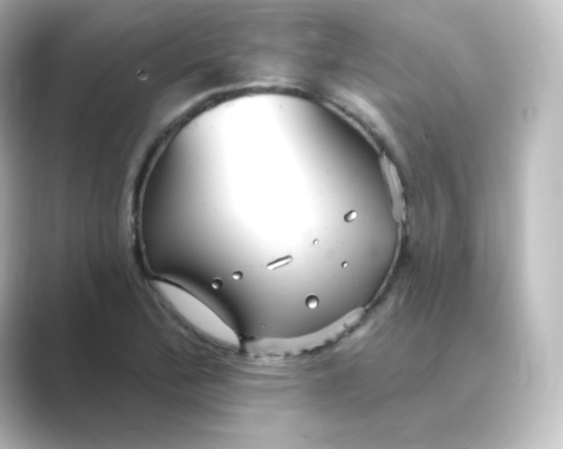 X0000088751172200706212109