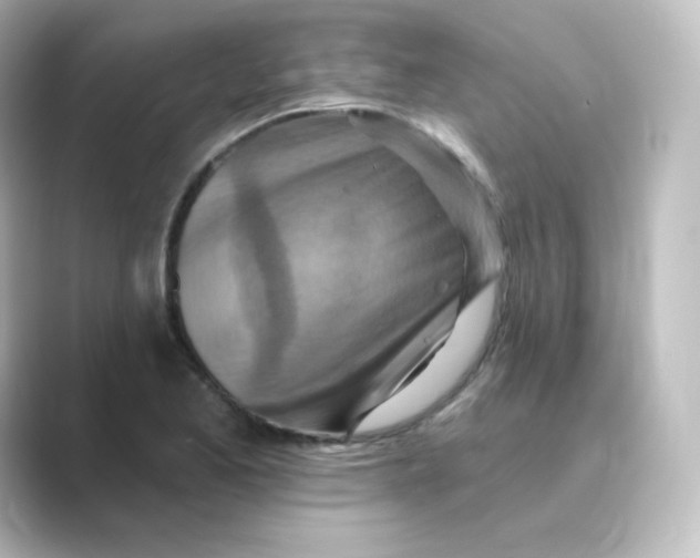 X0000088751173200706212109