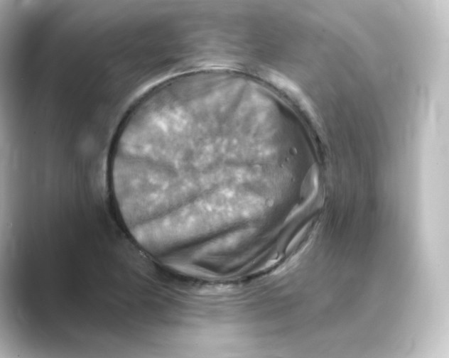 X0000088751174200706212109