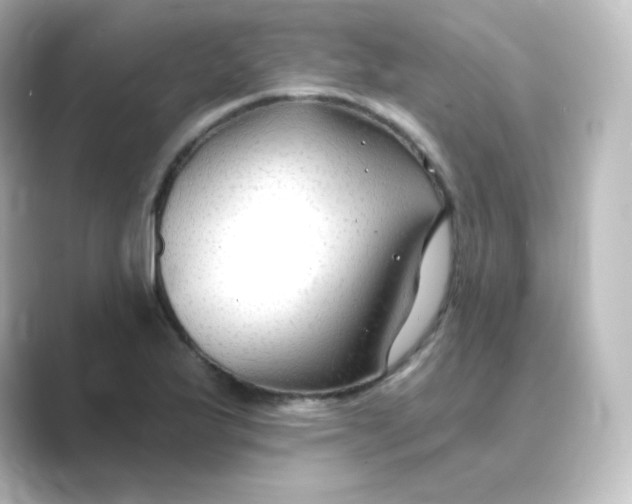 X0000088751175200706212109