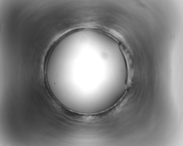 X0000088751176200706212109