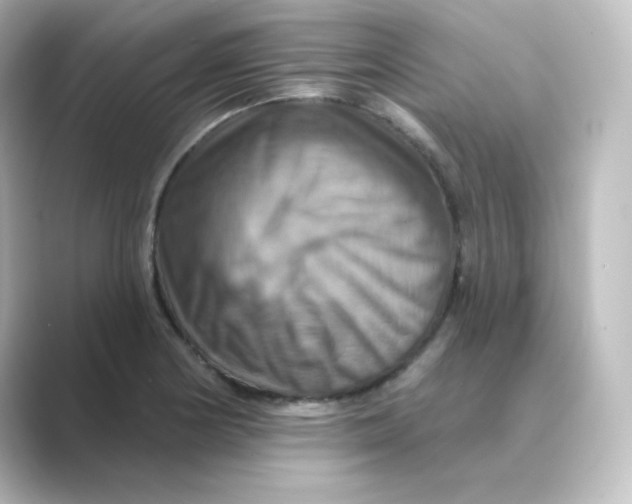 X0000088751178200706212109