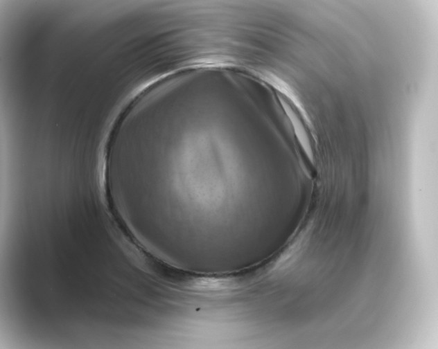 X0000088751179200706212109