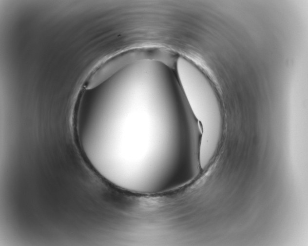 X0000088751181200706212109