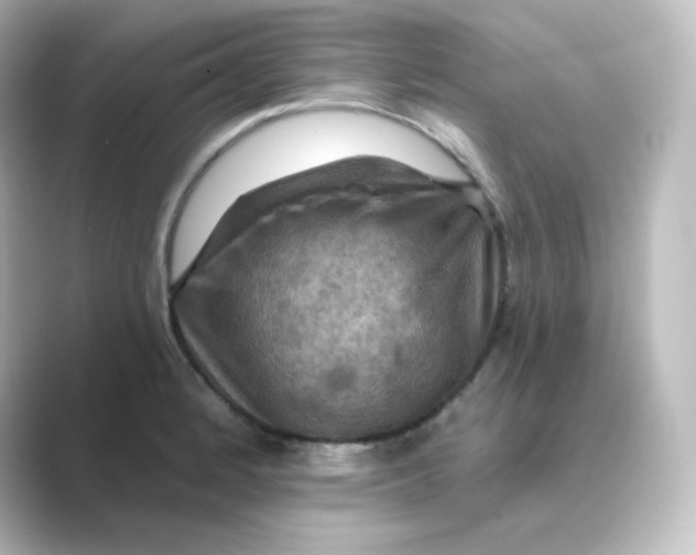 X0000088751184200706212109