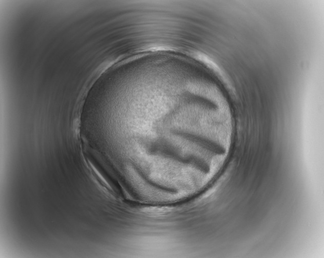 X0000088751185200706212109