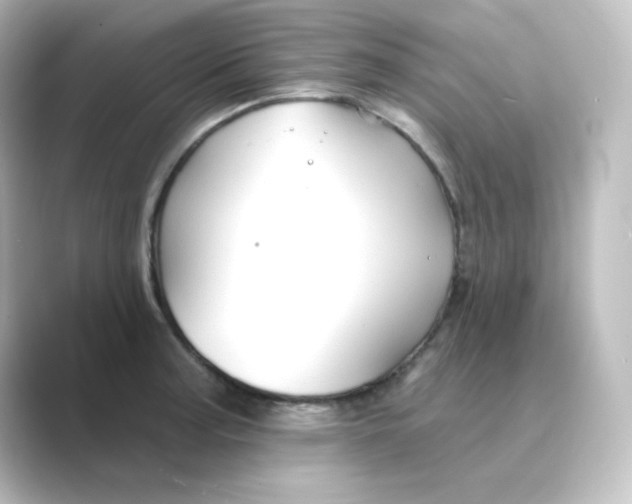 X0000088751187200706212109