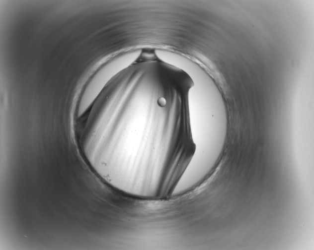 X0000088751188200706212109