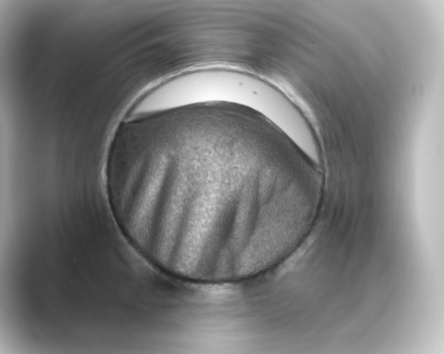 X0000088751189200706212109